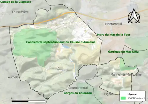 Carte des ZNIEFF de type 1 sur la commune.
