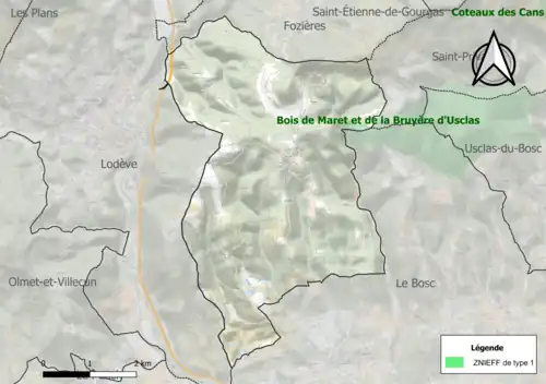 Carte de la ZNIEFF de type 1 sur la commune.
