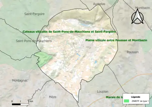 Carte de la ZNIEFF de type 1 sur la commune.
