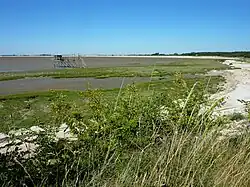 Plage sauvage au Nord-Est de Fouras dans la baie d'Yves.