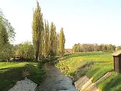 Au niveau de la jauge à Neukirchen