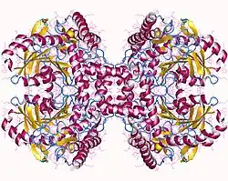 Description de cette image, également commentée ci-après