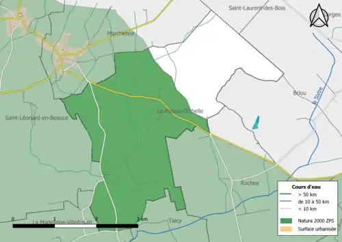 Une partie du territoire communal est incluse dans le site Natura 2000la « Petite Beauce ».