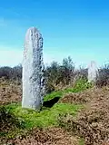 Les menhirs de Troanigou.