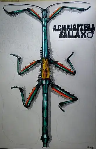 Description de cette image, également commentée ci-après