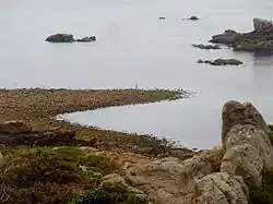 Queue de comète située dans la partie nord-est de la pointe de Primel