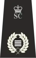Chief Officer MSC