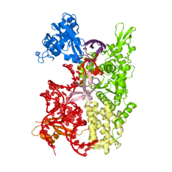 Description de cette image, également commentée ci-après