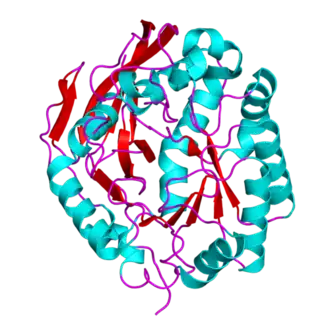Image illustrative de l’article CAD (protéine)