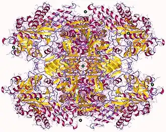 Image illustrative de l’article UDP-glucose pyrophosphorylase