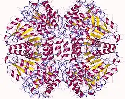 Description de cette image, également commentée ci-après
