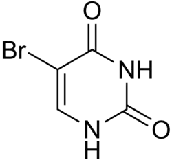 Image illustrative de l’article 5-Bromouracile