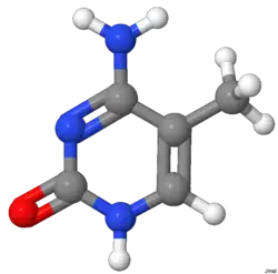 Image illustrative de l’article 5-Méthylcytosine