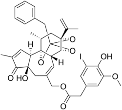 Image illustrative de l’article Iodorésinifératoxine
