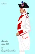 54e régiment d’infanterie de ligne de 1791 à 1795