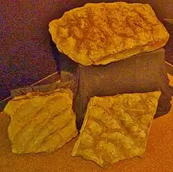 Rides de vagues préservées dans du grès armoricain de la plage du Corréjou à Camaret-sur-Mer, et exposé à la maison des minéraux de Crozon.