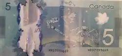 5 dollars canadien, Face verso