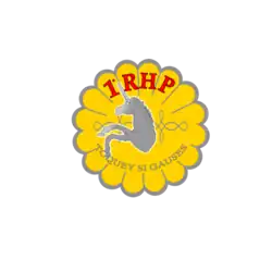 Insigne du 6e escadron (réserve)