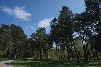 La réserve forestière classée.