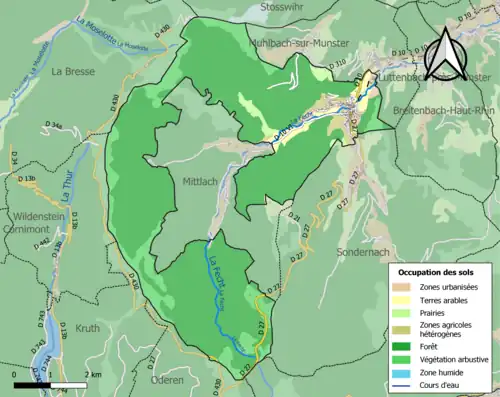 Carte en couleurs présentant l'occupation des sols.