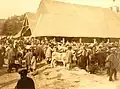 La foire aux vaches du Faouët (photographie de Philippe Tassier, entre 1908 et 1912).