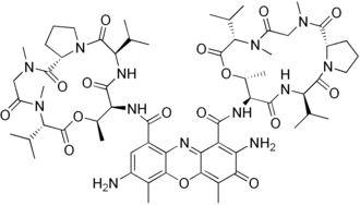 Image illustrative de l’article 7-Aminoactinomycine D