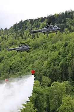 Deux AS332 Super Puma des Forces aériennes suisses lors d'une démonstration.
