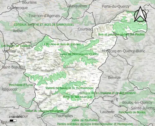 Carte des ZNIEFF de type 1 sur la commune.