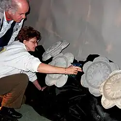 Arrosage des pensées.