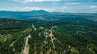 Image illustrative de l’article Forêt de Biriya