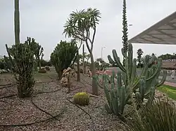 Jardin exotique de l'aéroport