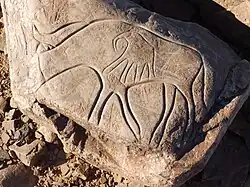 Gravure d'une hyène et d'un éléphant.