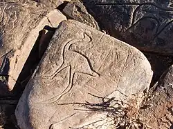 Gravure d'un oiseau.