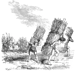 Porteurs mexicains, 1884.