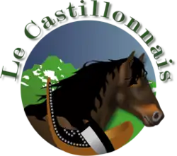 Association pyrénéenne ariégeoise du cheval de Castillon