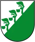 Blason de Nesselwängle