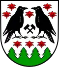 Blason de Rabenwald