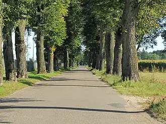 Woroniec (Biała Podlaska)