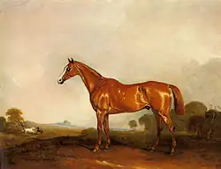 Peinture d'un cheval roux vu de profil sellé