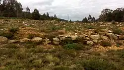 Image illustrative de l’article Henge de Roda