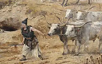 Bœufs gris hongrois