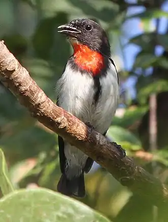 Description de cette image, également commentée ci-après