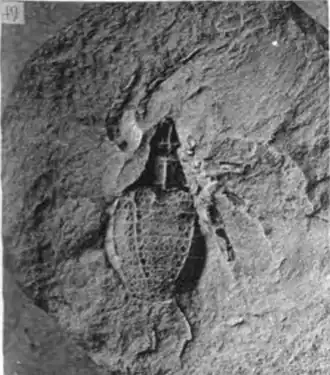 Description de cette image, également commentée ci-après