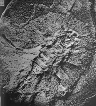 Description de cette image, également commentée ci-après