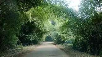 Route asphaltée reliant Matadi à Boma (2014).