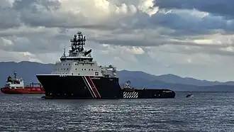 illustration de Abeille Méditerranée