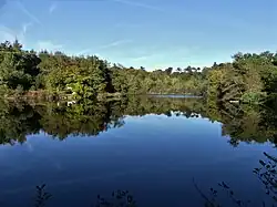 L'étang de l'Échasserie.