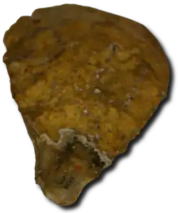 Photo d'une pierre taillée en biface.