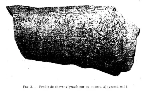 Profils de chevaux gravés sur os.Niveau A