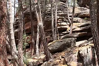 Image illustrative de l’article Abri de la Cocinilla del Obispo